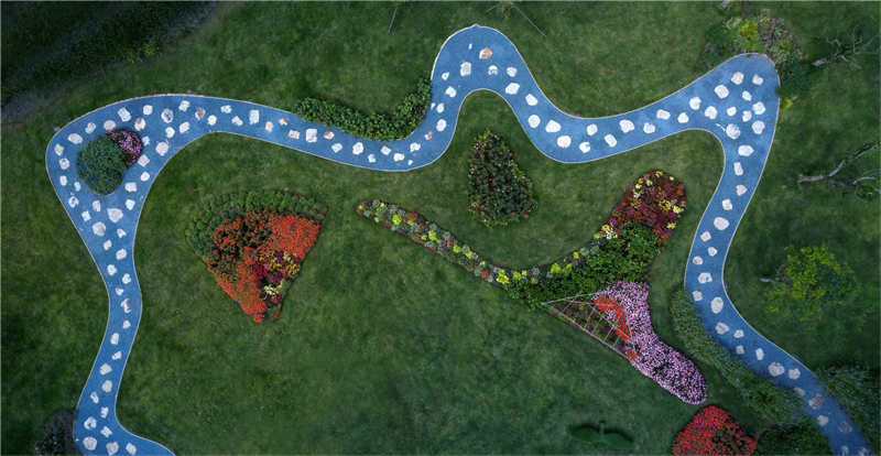 2019園冶杯專業獎丨保利養生谷