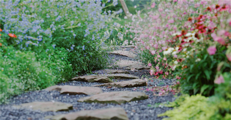 2019園冶杯專業獎丨保利養生谷