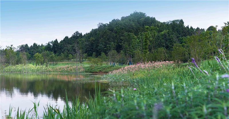 2019園冶杯專業獎丨保利養生谷
