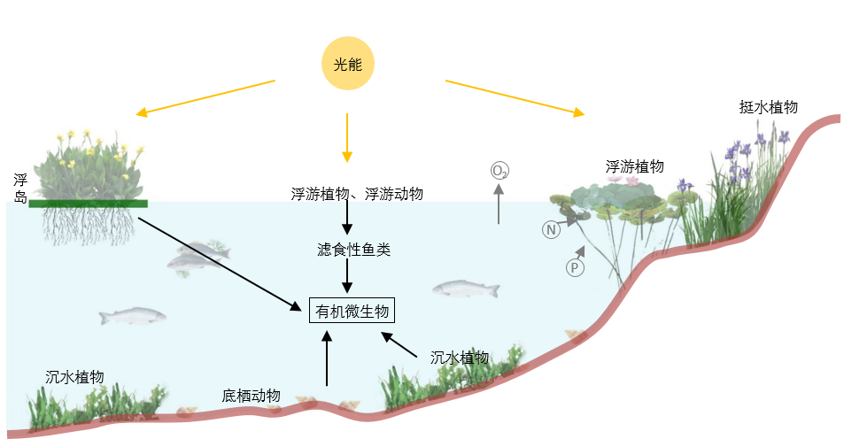園冶杯專業(yè)獎(jiǎng)|池州護(hù)城河遺址公園景觀與海綿設(shè)計(jì)