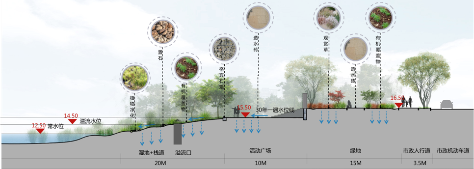 園冶杯專業(yè)獎(jiǎng)|池州護(hù)城河遺址公園景觀與海綿設(shè)計(jì)