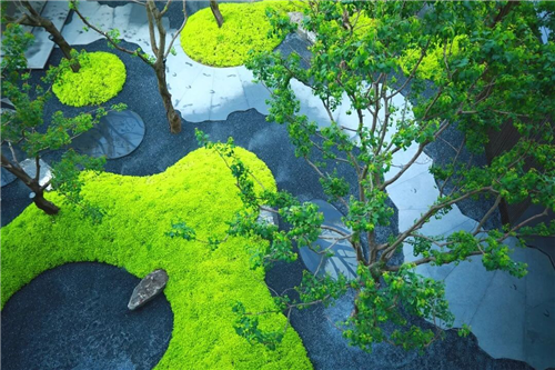 吉盛園林|不期而遇香港置地·林山郡