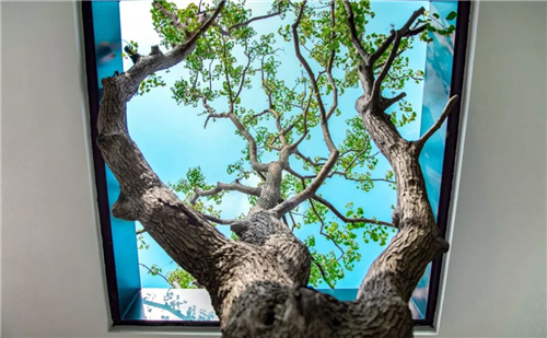 吉盛園林|不期而遇香港置地·林山郡