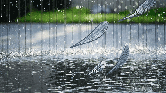 一只魚的自我意識 | 鎮江中南聆江閣