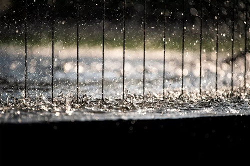 一只魚的自我意識 | 鎮江中南聆江閣