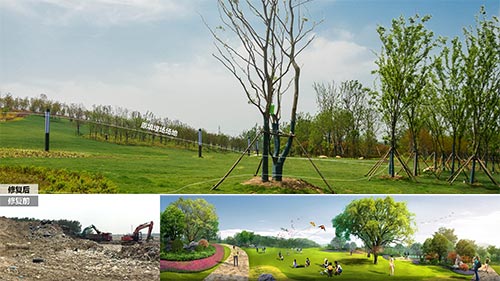 2019年園冶杯|靈璧縣閔莊垃圾站生態(tài)治理工程