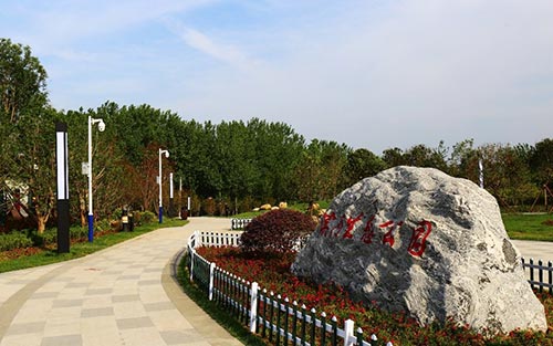 2019年園冶杯|靈璧縣閔莊垃圾站生態(tài)治理工程