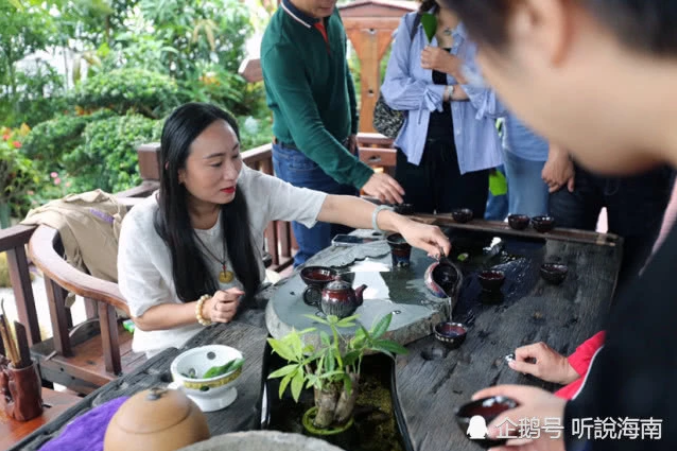 2019第七屆世界生態城市與屋頂綠化大會在?？诔晒φ匍_