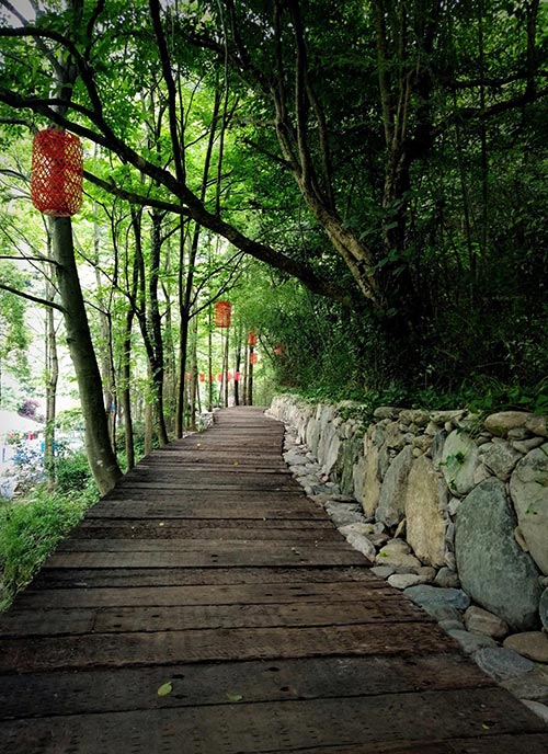 2019年園冶杯專業獎|廬山桃花源景區工程