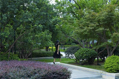 賽肯思景觀|中南·林樾香庭