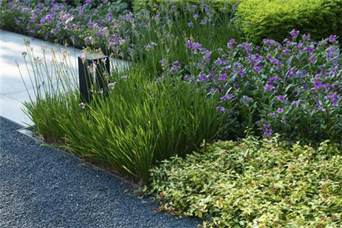 賽肯思景觀|中南·林樾香庭