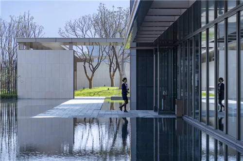 春風又綠江南岸|中南·春風南岸