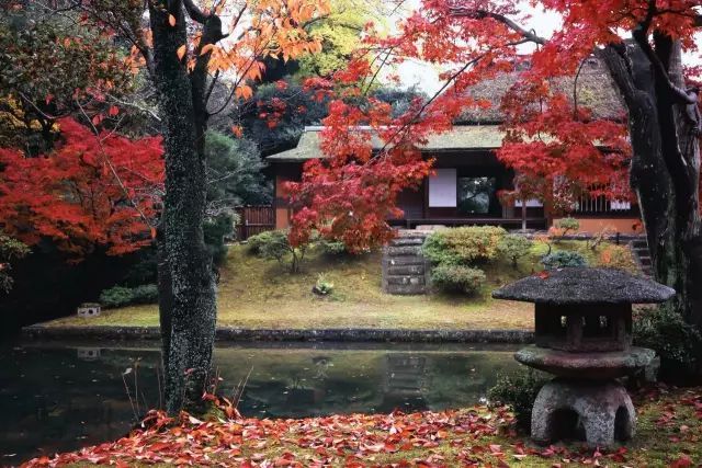 日本最美園林集合