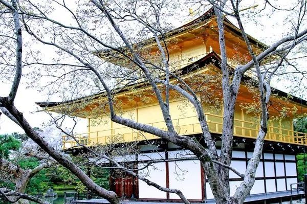 日本最美園林集合