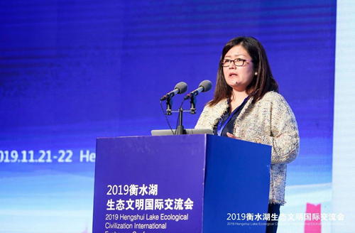 十余國知名專家衡水論劍 共話湖城生態文明建設之路