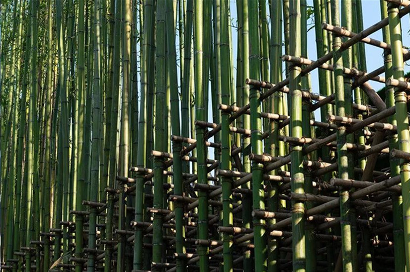 玉砌花光錦繡明 | 萬科·天府錦繡