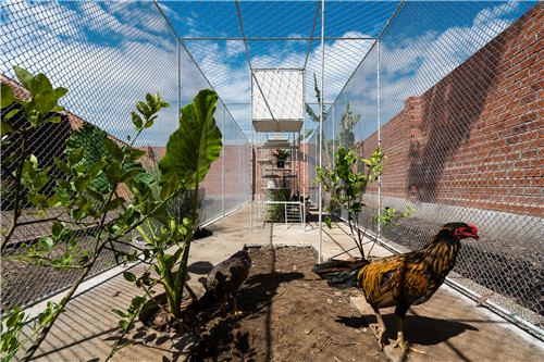 越南雞舍設(shè)計(jì)