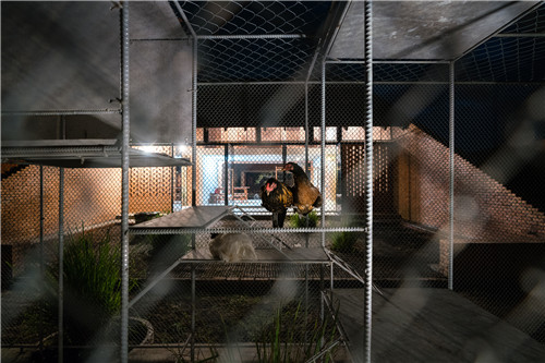 越南雞舍設(shè)計(jì)