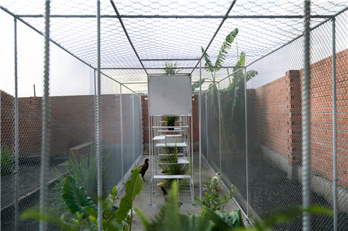 越南雞舍設(shè)計(jì)