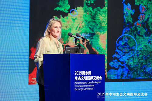 瑪哈:荷蘭的水管理與城鄉規劃