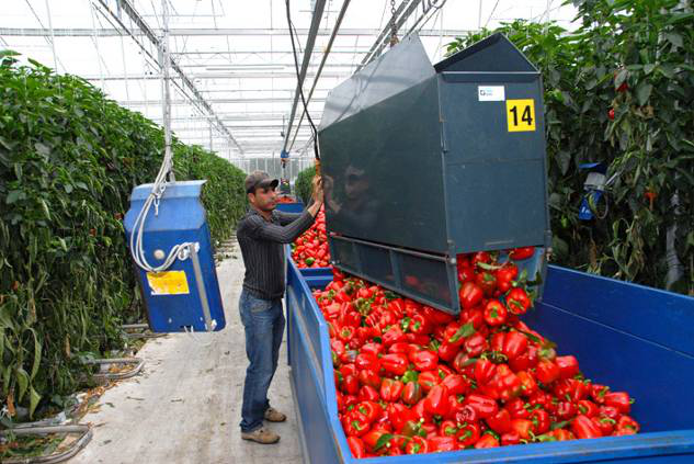 瑪哈:荷蘭的水管理與城鄉規劃