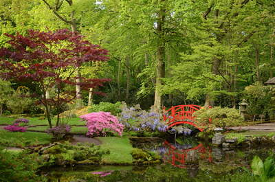 瑪哈:荷蘭的水管理與城鄉規劃
