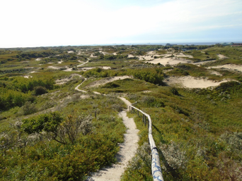 瑪哈:荷蘭的水管理與城鄉規劃