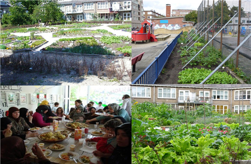 蔡建明：城鄉(xiāng)融合下的都市農業(yè)發(fā)展趨勢