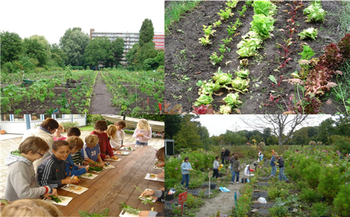 蔡建明：城鄉(xiāng)融合下的都市農業(yè)發(fā)展趨勢