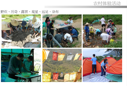 汪怡嘉:都市農業——以二澳農場為例