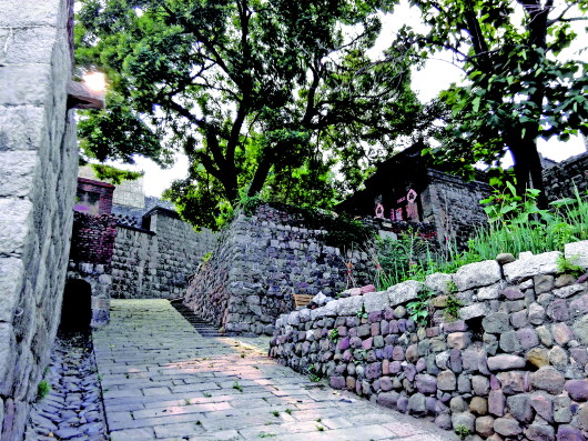 古村守護者張安蒙：“無品官做有品事”