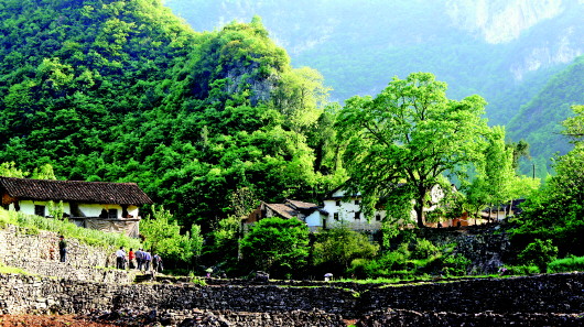 古村守護者張安蒙：“無品官做有品事”