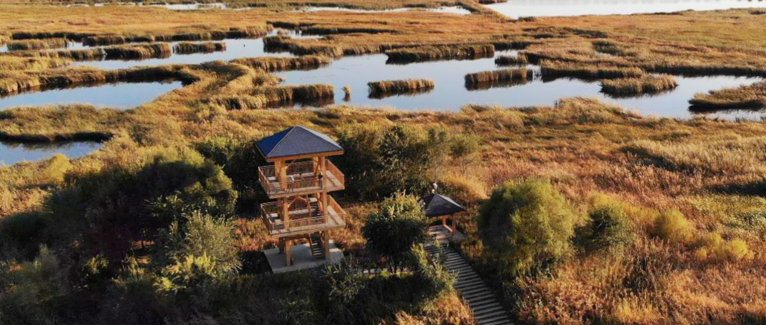 唐艷紅：基于環(huán)境的城市公共空間景觀營造