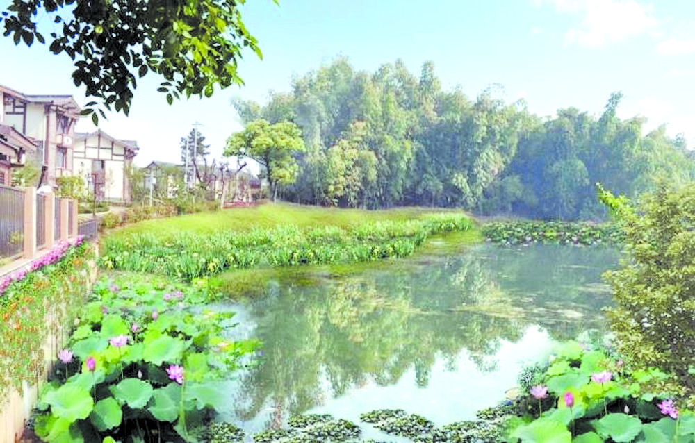 成都22個特色鎮、川西林盤全球征集規劃設計方案