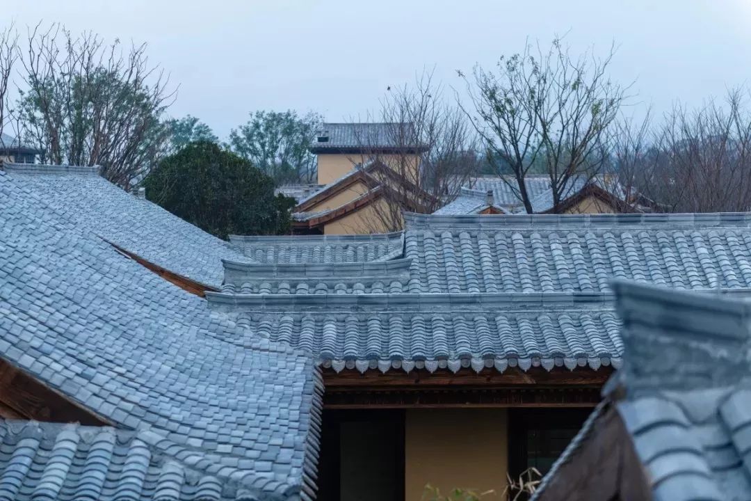 穿越千年盛唐，赴山水詩意之境 | 太白山·唐鎮