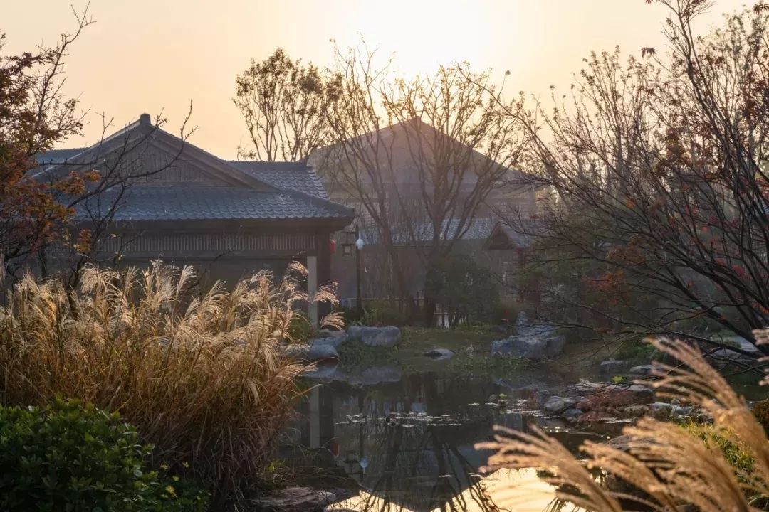 穿越千年盛唐，赴山水詩意之境 | 太白山·唐鎮