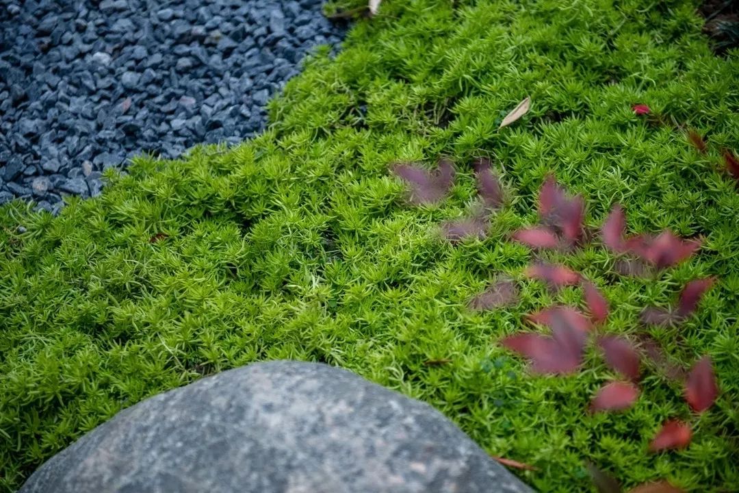穿越千年盛唐，赴山水詩意之境 | 太白山·唐鎮