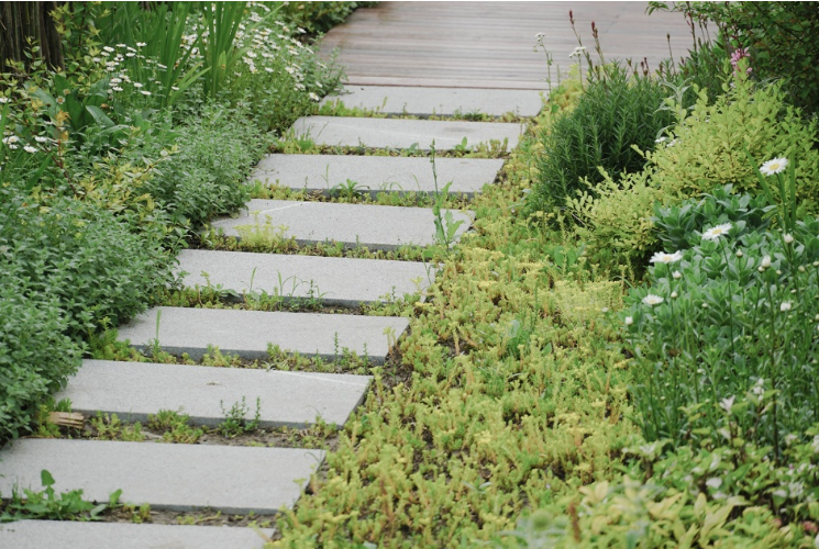 從老屋殘巷到網紅盛景——傳統村落的保護與活化