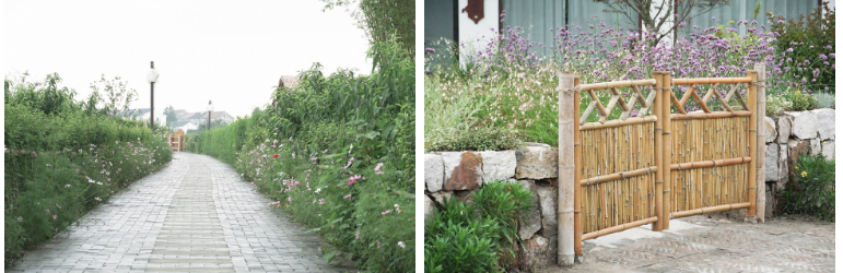 從老屋殘巷到網紅盛景——傳統村落的保護與活化