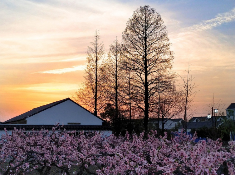 從老屋殘巷到網紅盛景——傳統村落的保護與活化