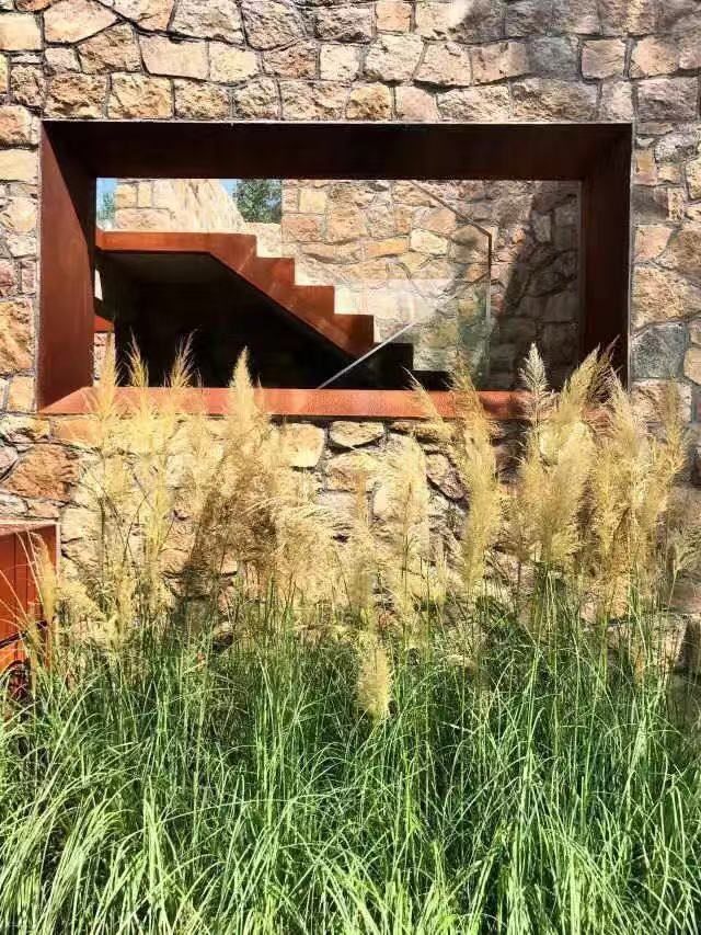 從老屋殘巷到網紅盛景——傳統村落的保護與活化