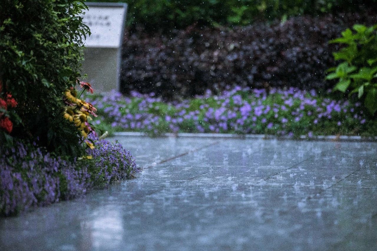 第十屆園冶杯地產(chǎn)園林大獎(jiǎng)作品,每一個(gè)都值得珍藏