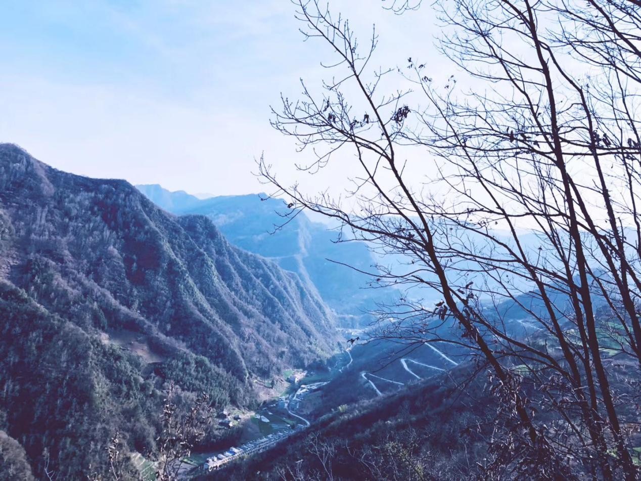 園冶杯一等獎朱文豪：一粒沙中見世界，一座村中見故鄉
