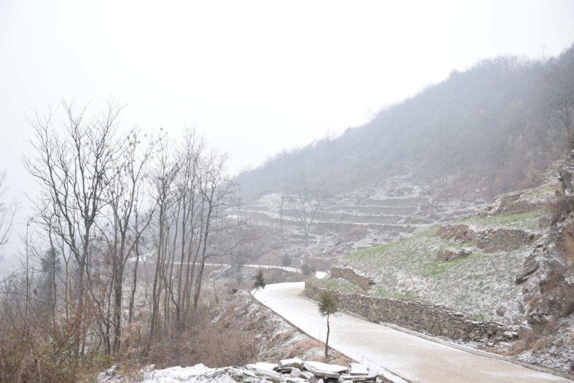 園冶杯一等獎朱文豪：一粒沙中見世界，一座村中見故鄉