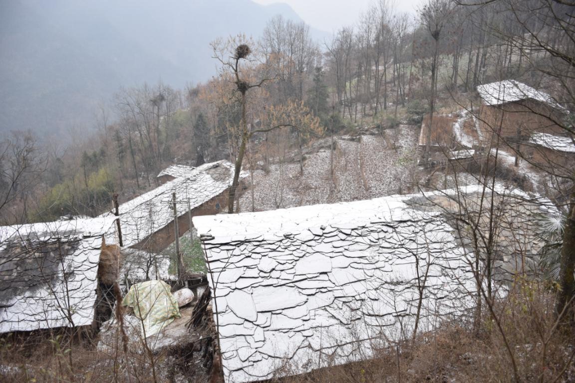 園冶杯一等獎朱文豪：一粒沙中見世界，一座村中見故鄉