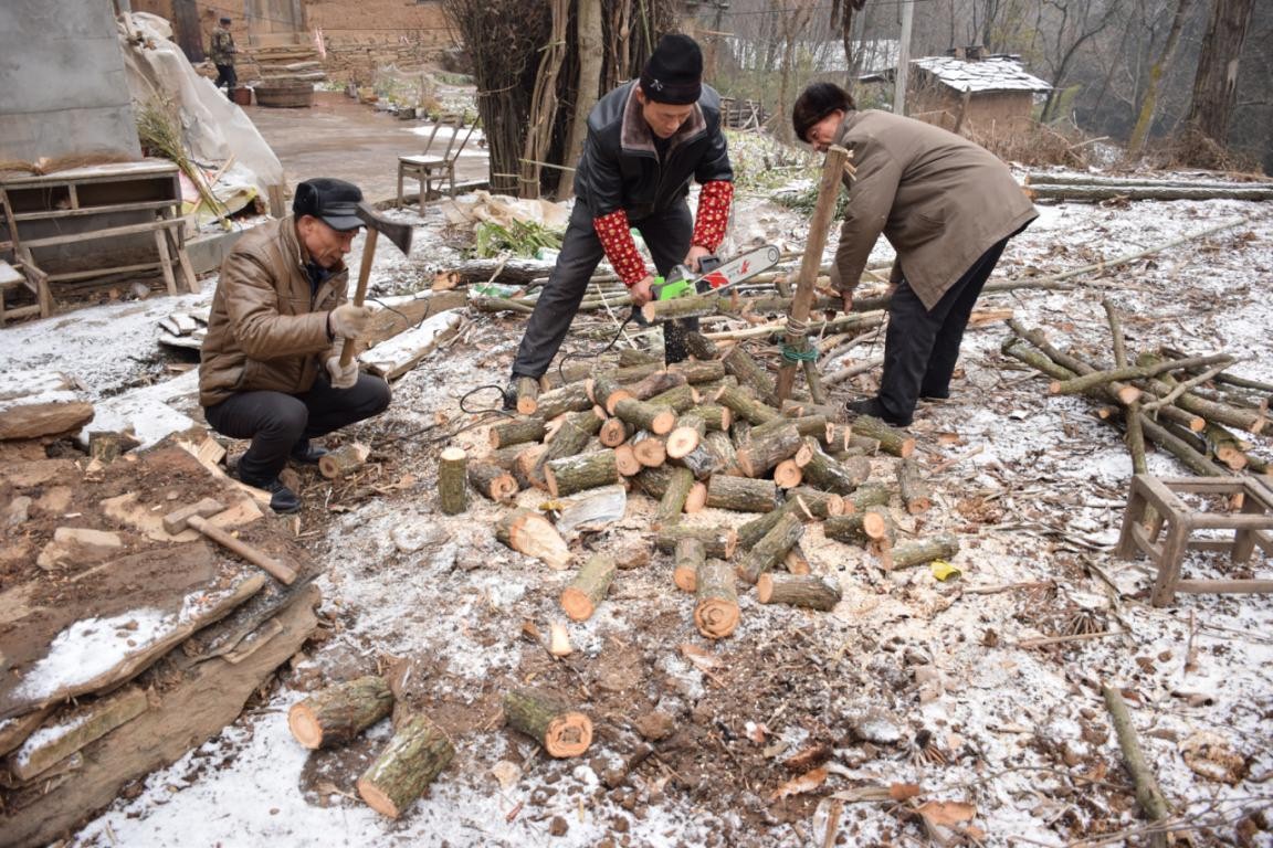 園冶杯一等獎朱文豪：一粒沙中見世界，一座村中見故鄉