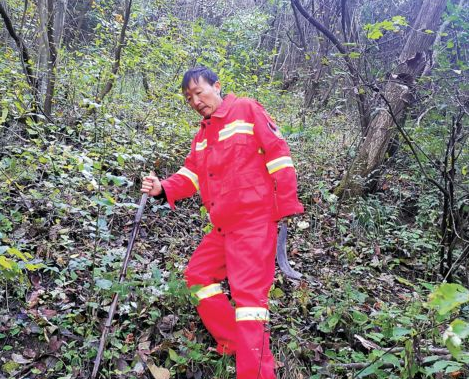 熊學政：一輩子只做護林這一件事