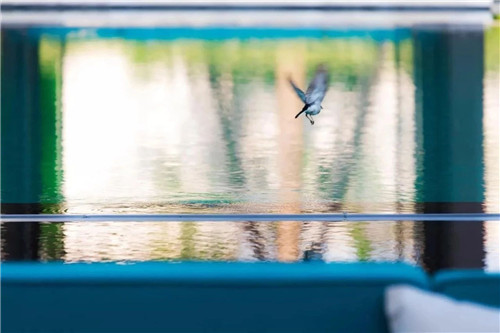 2020，我們依然在路上丨棲地設(shè)計(jì)2019優(yōu)秀項(xiàng)目合集