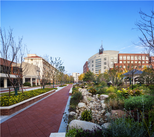 校園景觀作品集錦