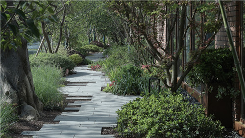 校園景觀作品集錦